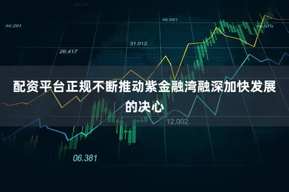 配资平台正规不断推动紫金融湾融深加快发展的决心