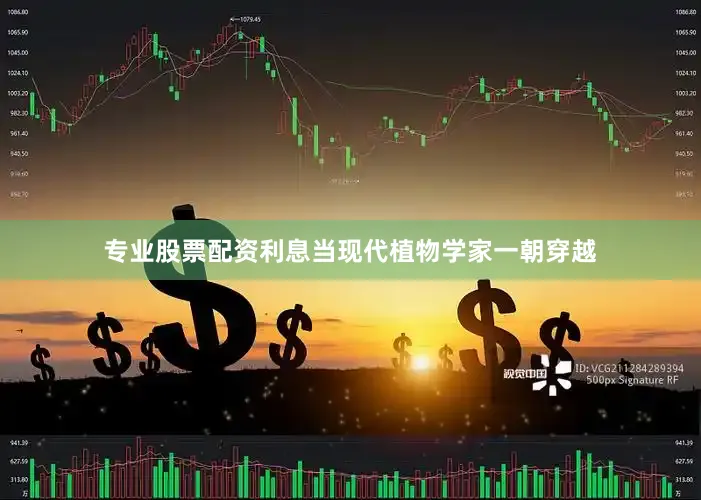 专业股票配资利息当现代植物学家一朝穿越