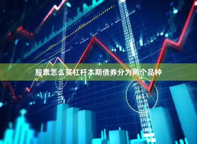 股票怎么买杠杆本期债券分为两个品种